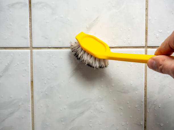 Best Black Mold Remediation in Good Hope, AL